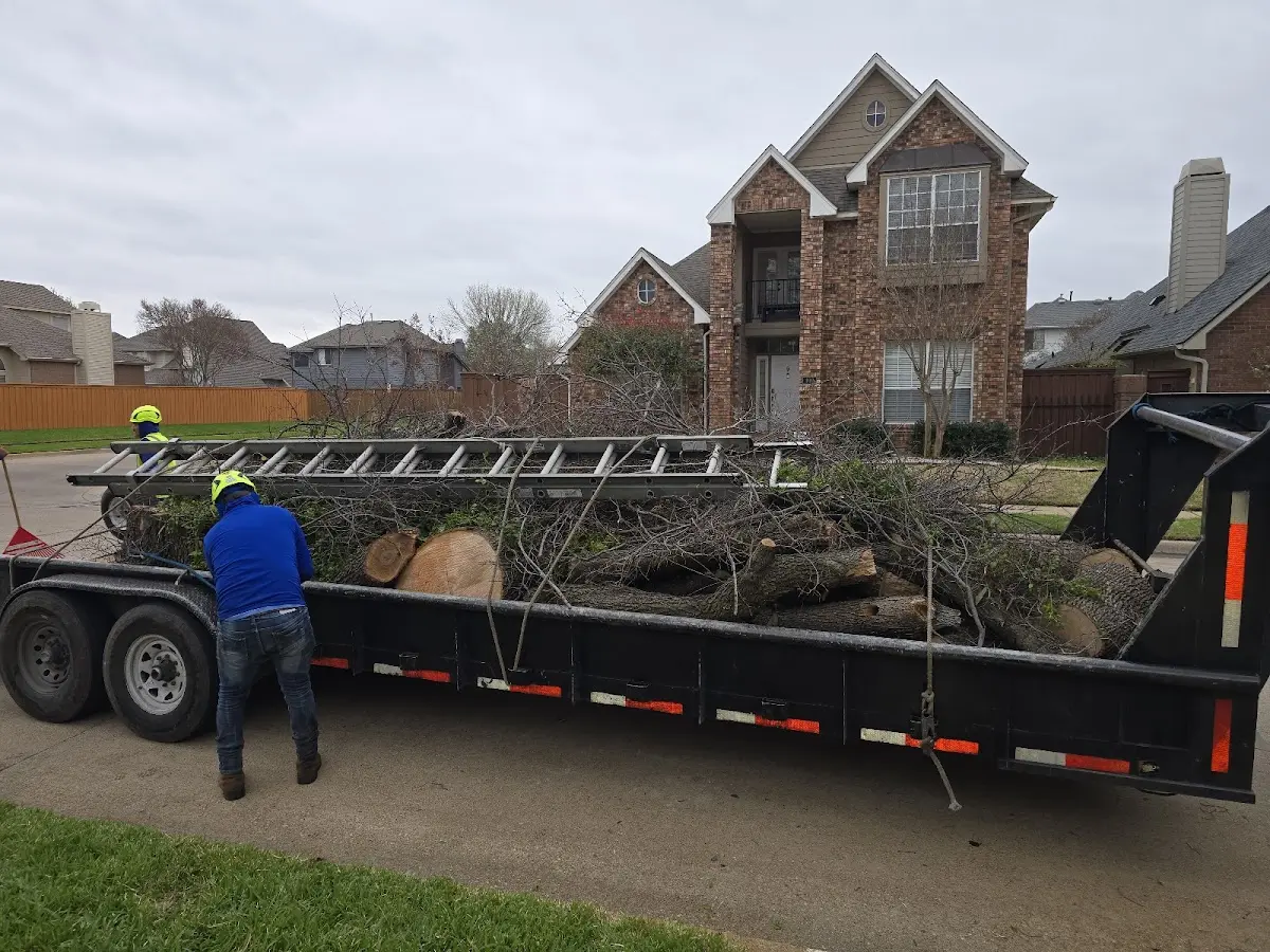 Expert Tree Fertilization with proper safety equipment in Fort Stewart